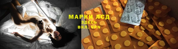 амф Зерноград