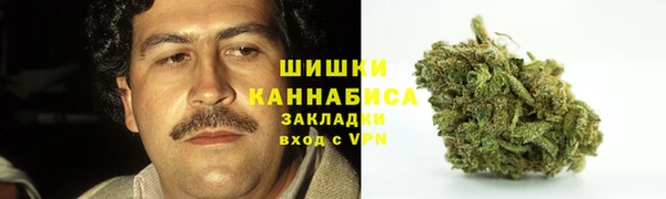 амф Зерноград