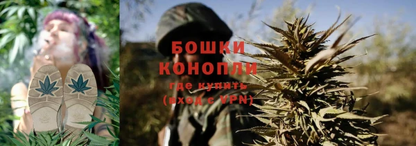 амф Зерноград